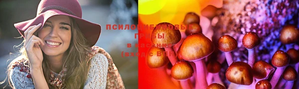 MDMA Новодвинск