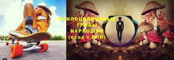 MDMA Новодвинск