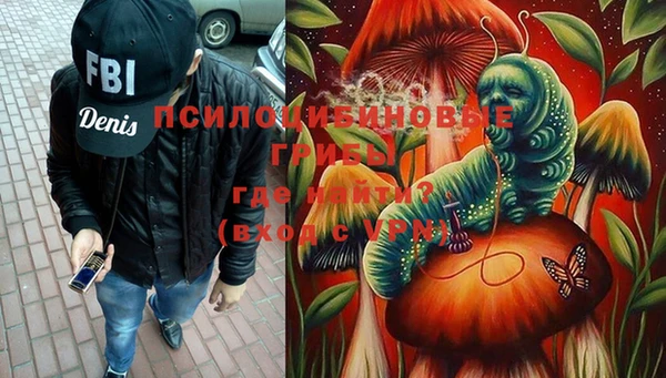 трава Новокубанск